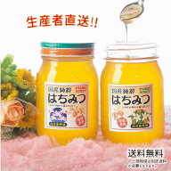令和7年度産 国産 純粋 はちみつ【送料無料】600g2本セット（れんげ畑から届きました／みかん畑から届き…