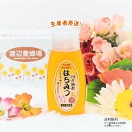 令和7年度産 国産 純粋 はちみつ【送料無料】使いやすい便利容器500g（れんげ畑から届きました） 日本製 …