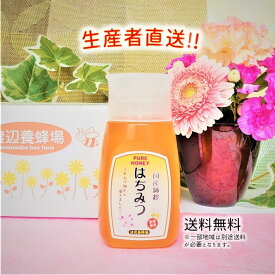 令和5年度産 国産 純粋 はちみつ【送料無料】使いやすい便利容器300g（れんげ畑から届きました） 日本製 はちみつ ハチミツ ハニー HONEY 蜂蜜 プラ容器 生産者直送 愛媛県産 国産蜂蜜 国産ハチミツ 送料無料