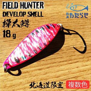 FIELD HUNTER@fxbvVF@18g@{ނ@fJ@}Xނ@TN}X@Jtg}X jW}X