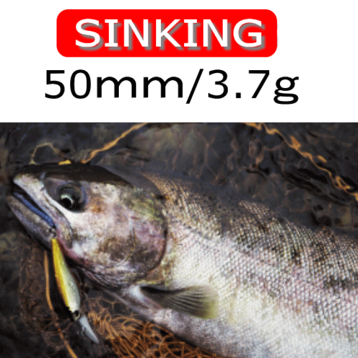 DAIWA TROUT PRESSO シルバークリーク DAIWA TROUT