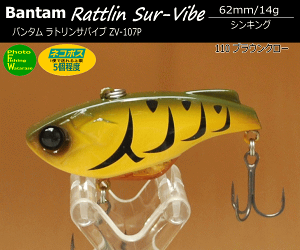 V}m ZV-107P o^ gToCu62R110 uEN[