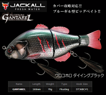 楽天市場】ジャッカル ガンティアの通販
