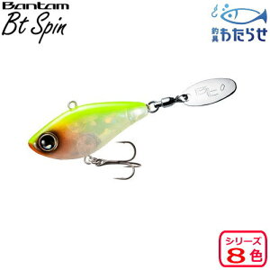 V}mo^ BtXsiԁFZR-V45SyubNoXpA[z