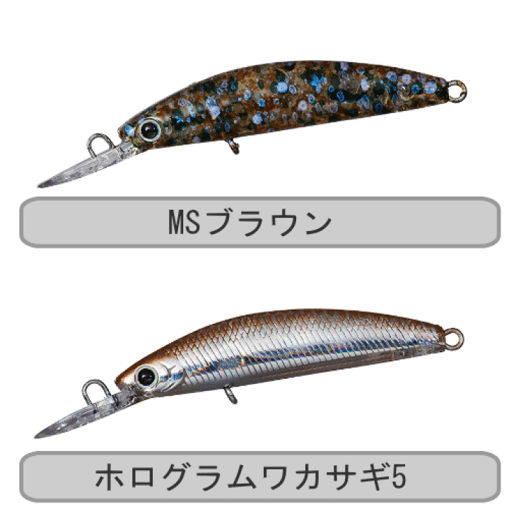 Amazon.co.jp: ダイワ(DAIWA) エリア トラウト プレッソ ダブル