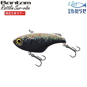 V}m ZV-107P o^ gToCu ubNSPA[ ubNoX oCu[V 萶YJ[