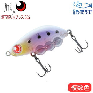 _C l ܘYbvX 36S bvX~m[