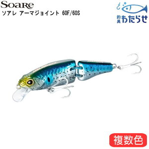 V}m@A[}WCg 60F/60S A[}u[Xg