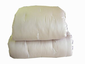 EIGWvg100̎Âؖȕzc~VO