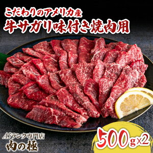 y AJYTKtēpi500g×2jz ݖx[X̊Ðhē^t ʏ`Ղ̏ē^ v[g j Mtg n~  Ԑg  q ql LbY Nz 