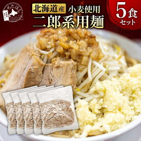 【 ニ郎系 麺 5食セット 】プレゼント 内祝い ギフト メッセージカード お取り寄せ グルメラーメン 麺のみ 麺だけ 人気 生麺 ご当地 詰め合わせ メール便 北海道 札幌 小麦 組み合わせ がっつり もちもち 送料無料 お歳暮