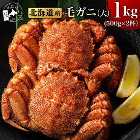 【 毛ガニ (大) 1kg (500g ×2杯) 】カニ 毛蟹 甲羅 海鮮 プレゼント 内祝い ギフト メッセージカード お取り寄せ グルメ 蟹味噌 特大 蟹しゃぶ 鍋 ボイル蟹 噴火湾 毛ガニ三昧 足 ハサミ 国産 北海道 冷凍 ちらし寿司