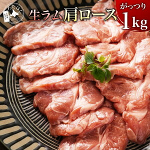 y  [X 1kg z v[g j Mtg bZ[WJ[h 񂹃WMXJ BBQ  ē _CGbg N v[g lC o[xL[  m ؂  er 