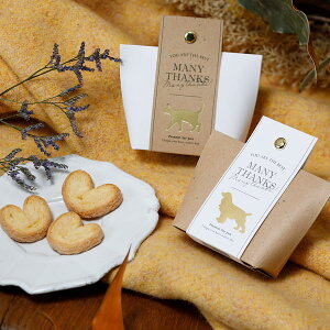 `[~[ybc! v`in[gpC~jjv`Mtg ސE  400~ `RȊO F`R  NbL[ Mtg  ΂܂   E   EFfBO o^C