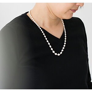 000(gv ID)@XtBAlbNX AC{[S[hy{ VNhJ̃ANZT[z