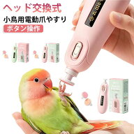鳥用 小鳥用電動爪やすり 爪ケア ペット用 ハンディタイプ 電動研磨式 コンパクト ヘッド交換式 インコ …
