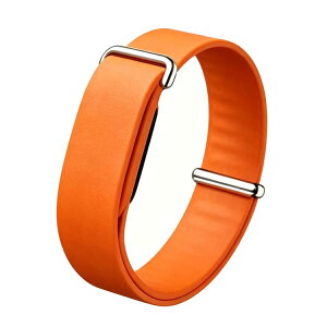 FitbitAir �O�[�O�� �r���v�x���g �x���g FitbitAir �X�}�[�g�E�H�b�`�o���h �V���R���x���g �X�|�[�c Fitbit �o���h Air �����x���g �V���R�� �����o���h �X�g���b�v �t�B�b�g�r�b�g �G�A�[ �Ή� �V