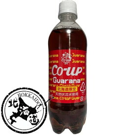 小原 コアップガラナ PET 500ml 【同一規格24本まで1個口送料】