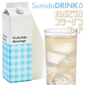 X~_ Ԃǂ&R[QG[h 1LyKi6{܂1zył͂܂z