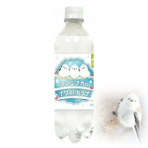 ���� �V�}�G�i�K�̃z���C�g�K���i PET 500ml×24�{�y1�P�[�X�z