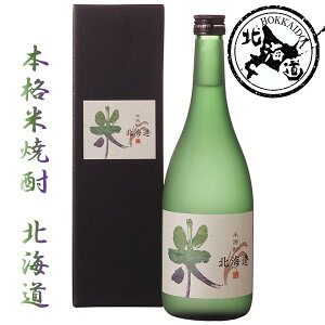 y11/25P5{zykCzďĒ kC 20 720ml  yKi12{܂1z