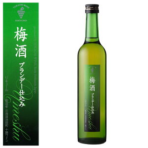 y11/1P5{zykCz\C ~ uf[d 500ml yKi12{܂1z