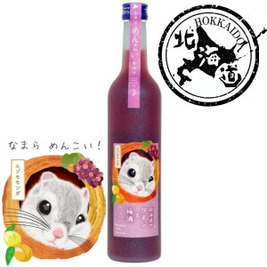 y11/1P5{zykCzkC̃CƔ~ 12 500ml yKi12{܂1z