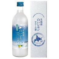 【北海道】北海道 白いレモンサワーの素 500ml 箱入 【同一規格12本まで1個口送料】