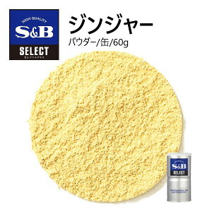 S&BZNg WW[ipE_[jS 60g