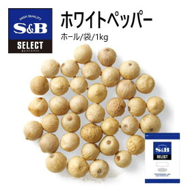 S&Bセレクト ホワイトペッパー（ホール）袋 1kg