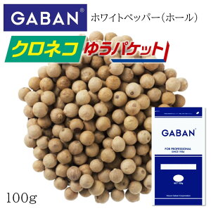 Mo zCgybp[ z[  100g yNlR䂤pPbgz