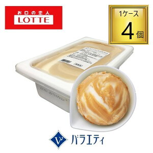 yⓀzbeACX oGeB XC[gLoj 2L×4 y1P[Xz