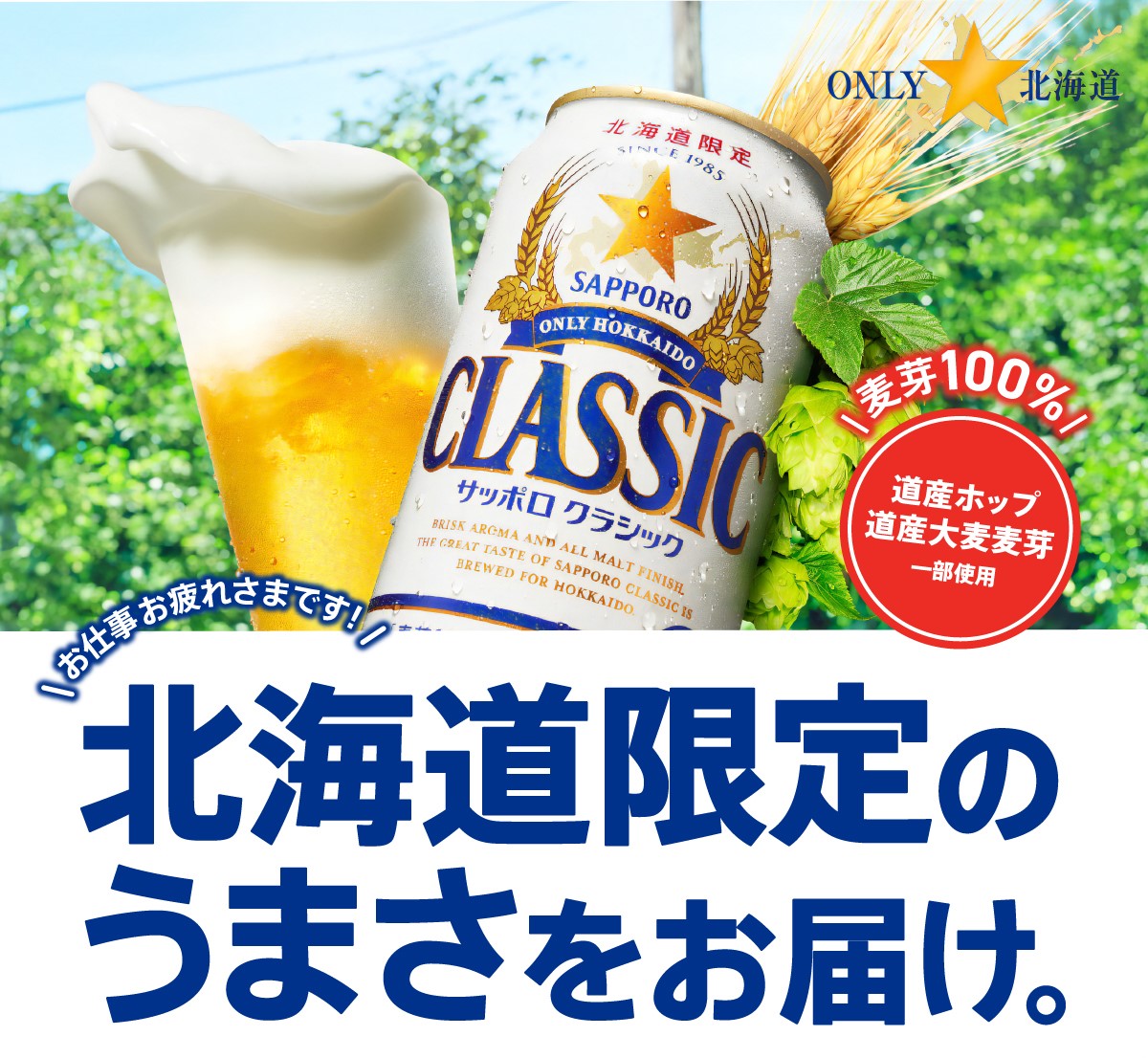 楽天市場】【20％OFF！】【北海道】サッポロビール サッポロ