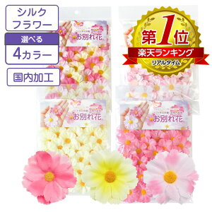 ybgΑ  ʂ RXX ybg{ ybgΑ V    [  ybg{  Xv[ t[AWg