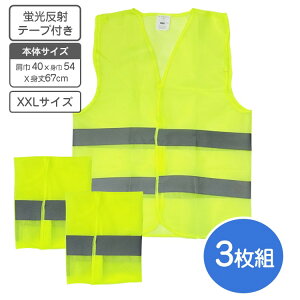 FxXg TCY XXLTCY 3g y RpNg 56g ˃xXgyzpg[xXg FS SxXg uxXg  ] TCNO  