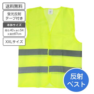 FxXg TCY XXLTCY y RpNg 56g ˃xXgyzy[֑Ήzpg[xXg FS SxXg uxXg  ] TCNO 