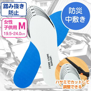 h ЊQ  ݔh~ C ~ C\[ tbgXL[ MTCY  qp TCY 19.5 ` 24.0cm ylR|XzNM KX Ȃǂ̑ւ̊ђʂh~ICЊQ΍ h