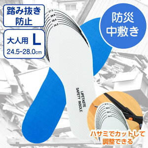 h ЊQ  ݔh~ C ~ tbgXL[ LTCY TCY 24.5 ` 28.0cm C\[ NM KXЂȂǂ̑ւ̊ђʂh~IylR|Xz CЊQ΍ hЗpi hЃOb