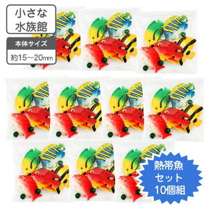 小さな水族館 水槽用装飾マスコット 熱帯魚 セット10個組【送料無料】水槽 花瓶 レイアウト用品 水槽用 インテリア アクアリウム ジオラマ オブジェ オーナメント 水槽装飾 レイアウト 熱帯