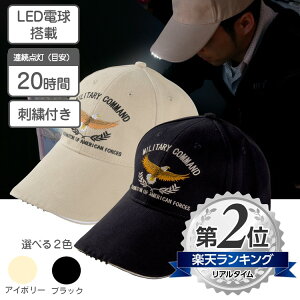 d ɂȂ LEDCg Lbv hJt LEDXqyzLEDLbv LEDd LEDCg dr A_ 20 h  ЊQ Lv SX Xq Z[teB[L