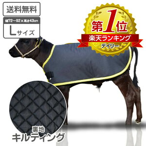 e̖h J[tWPbg CF LTCY LeBOdl \n H qp h h΍ e {Y _ ̉ ̒Ǘ јa a {Ǘ ~΍  {Y_ y