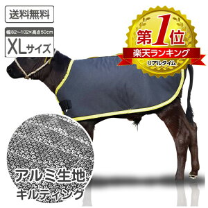 e̖h J[tWPbg A~ XLTCY LeBOdl \n H qp h h h΍ e {Y _ ̉ ̒Ǘ јa a {Ǘ ~΍ {Y_