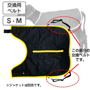 J[tWPbg pxg SEMp TCY50cm e̖h qp h h΍ e {Y _ ̉ ̒Ǘ јa a {Ǘ  ~΍  {Y_