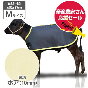 y{Y_Ƃ񉞉Z[Iz J[tWPbg {A MTCY 10グ1T[rX K̏d35`55kgiڈjy6,600~z h \n H q h h΍ e {Y 