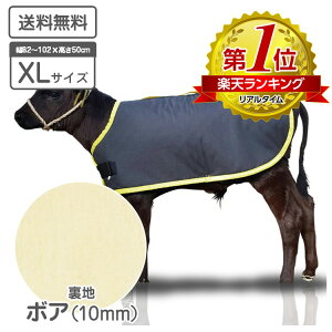 e̖h J[tWPbg XLTCY {Andl\n H qp h h΍ e {Y _ ̉ ̒Ǘ јa a {Ǘ  ~΍  {Y_ y