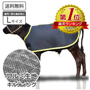 e̖h J[tWPbg A~ LTCY LeBOdl K̏d 55`80kgiڈj \n H qp h h h΍ e {Y _ ̉ ̒Ǘ јa a