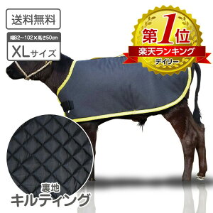 e̖h J[tWPbg XLTCY CF LeBOdl \n H qp h h΍ e {Y _ ̉ ̒Ǘ јa a {Ǘ  ~΍  {Y_