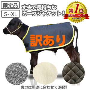 y󂠂ze̖h J[tWPbg 3 S`XL i \n H h h΍ e {Y _ ̉ ̒Ǘ јa a {Ǘ ~΍ {Y_ yz