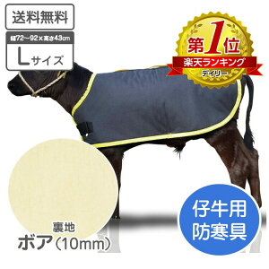 e̖h J[tWPbg LTCY {Andl K̏d 55`80kgiڈj \n H qp h h΍ e {Y _ ̉ ̒Ǘ јa a {Ǘ  ~