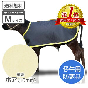 e̖h J[tWPbg MTCY {Andl K̏d 35`55kgiڈj\n H qp h h h΍ e {Y _ ̉ ̒Ǘ јa a {Ǘ 